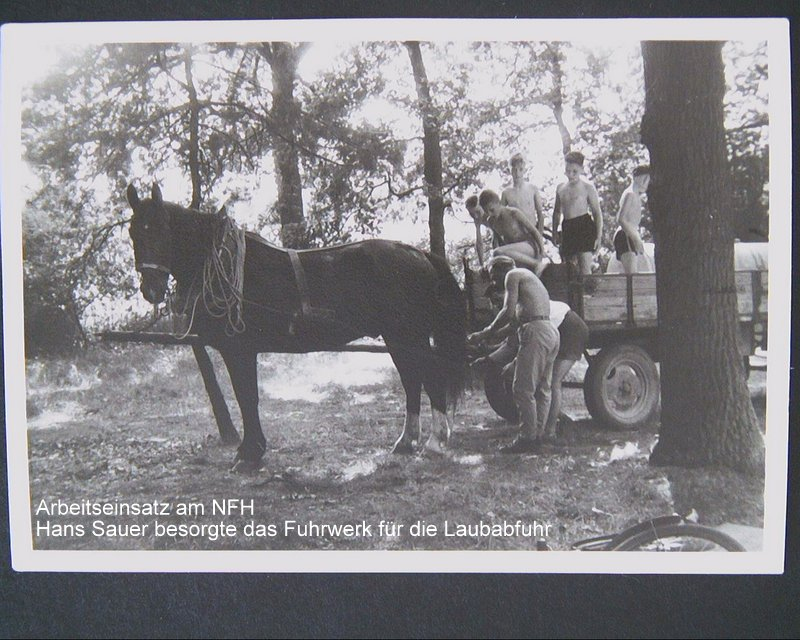 Arbeitseinsatz am Naturfreundehaus