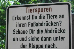 In und um das Naturfreundehaus