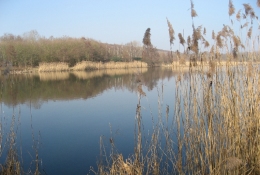 Wanderung Februar 2008 - Mörfelden