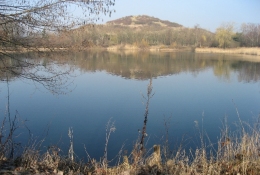 Wanderung Februar 2008 - Mörfelden