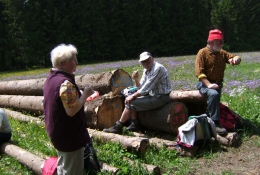 Wanderung Mai 2008 Vogelsberg