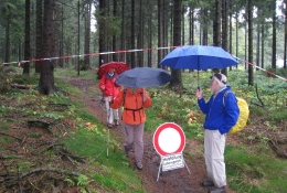Herbstwanderung Frankenbergweg