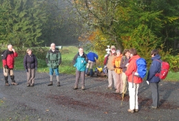 Herbstwanderung Frankenbergweg