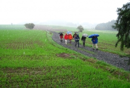 Herbstwanderung Frankenbergweg