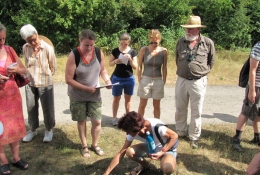 Wildkräuterspaziergang