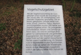 Informativer Rundgang Natura Trail Vorbereitung