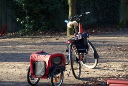Neujahrsempfang 2014