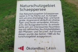 Natura Trail Wanderung Königstädten