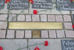 Verlegung Stolperschwelle