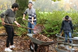Arbeitseinsatz November 2017