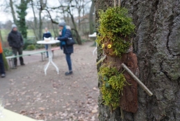 Was hängt denn da am Baum?