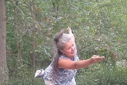 Kultur im Wald