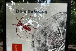 Kunst im Wald