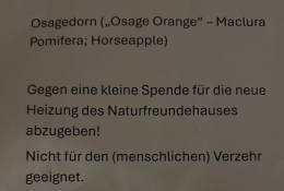 Lesung, Vernissage und Finissage an einem Abend