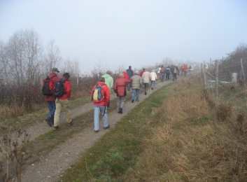 Wanderung Februar 2008 - Mörfelden