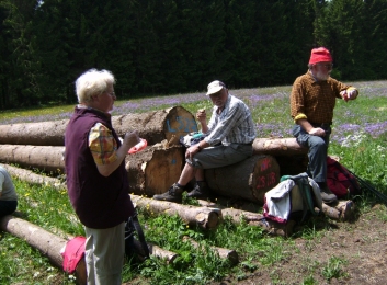 Wanderung Mai 2008 Vogelsberg